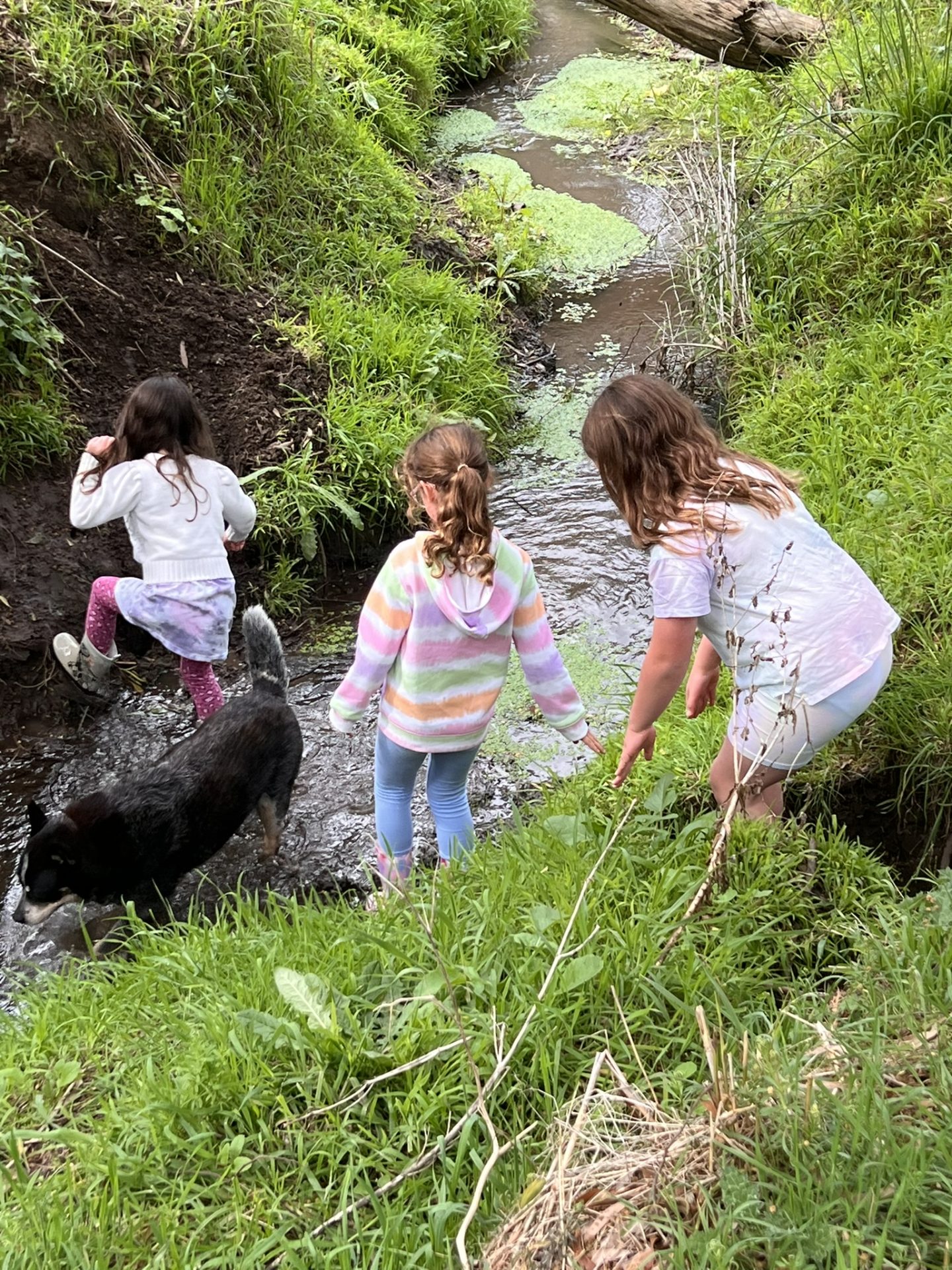 Kids at Waterwatch Day